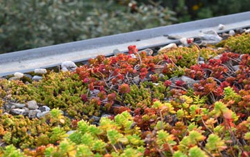 the cost of Little Milton green roof installation