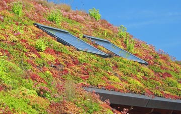 Little Milton living roof systems
